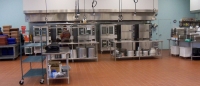 10 Best Commercial Convection Ovens: 2023 Reviews & Recommendations